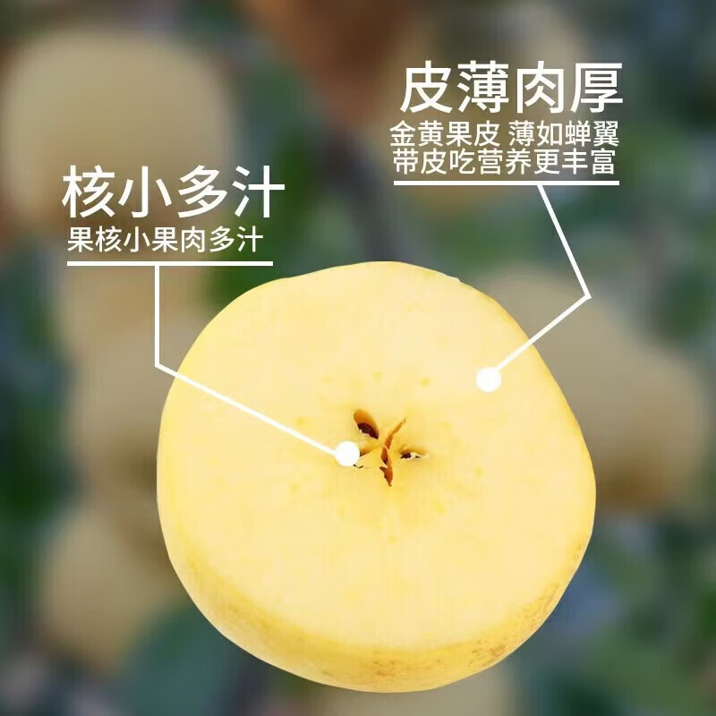 山东烟台奶油黄富士4.5斤