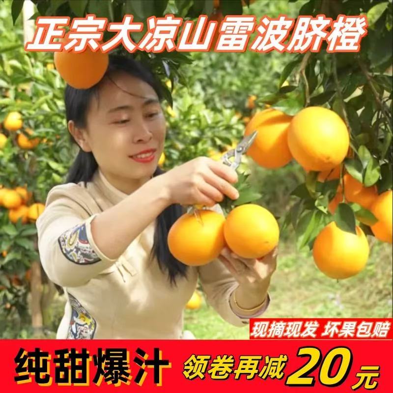 筱乐悠正宗四川雷波脐橙应季新鲜水果现摘现发非赣南奉节冰糖橙当季批发 雷波脐橙【产地直发+爆甜】 精选香甜-礼盒装20斤+商超大果