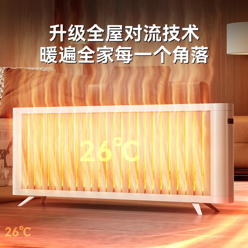 大宇(DAEWOO)【节能省电】取暖器全屋大面积升温50平2025新款石墨烯电暖器家用电暖气片取暖神器客厅欧式快热炉 【全屋取暖】旗舰白色款