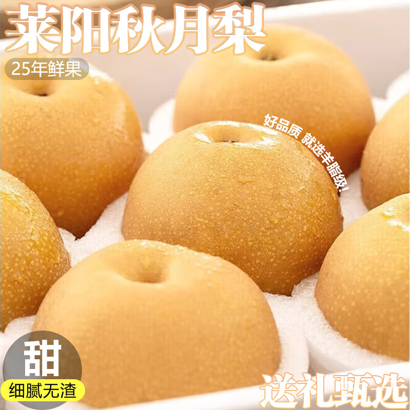 余悦正宗山东秋月梨子【核心产区】秋月梨水果礼送礼品水果梨羊脂秋月 【净重4.5斤普装丨7-12枚】头茬鲜果
