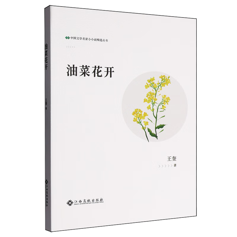 油菜花开