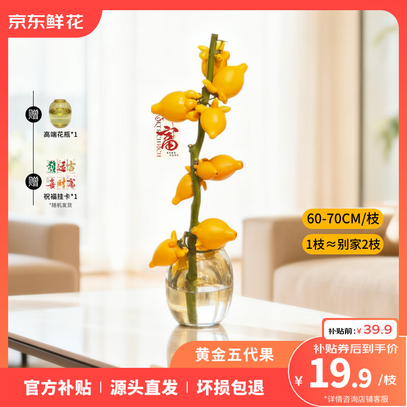 京东鲜花五代果1支60-70cm黄金果鲜切福禄果五指果插花开业庆典源头直发