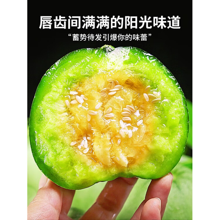 胖东来超市代购同款甜瓜绿宝石正宗头茬绿宝石甜瓜新鲜水果现摘青 3斤