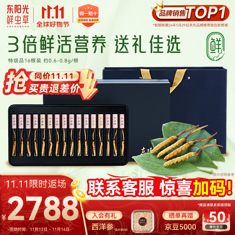 东阳光鲜虫草0.6-0.8g/根16根新鲜冬虫夏草补品送长辈老人源头直发包邮