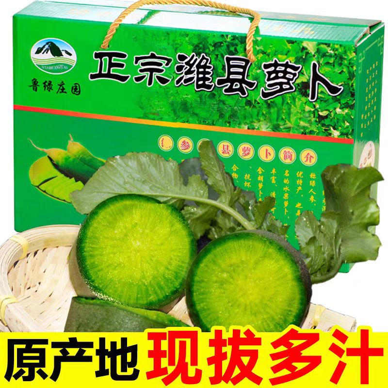 风筝王【顺丰上门】潍县萝卜礼盒 山东特产潍坊水果萝卜 新鲜蔬菜水果 潍坊萝卜礼盒 9斤