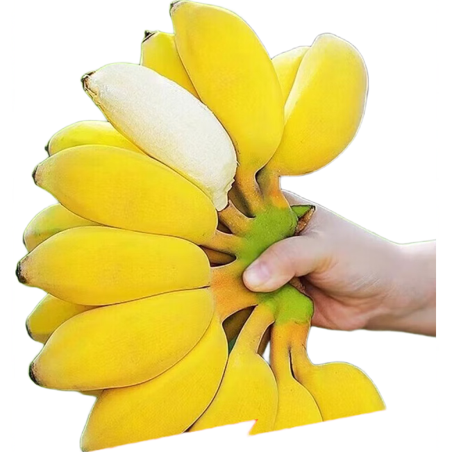 ��� С�׽� ����2�� ����1.7-1.8�� 1.99Ԫ(����ȯ)