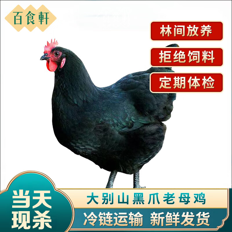 百食轩安徽黑爪黄油老母鸡2只装 单只净重2.7斤 黒爪老母鸡2只5.5斤左右