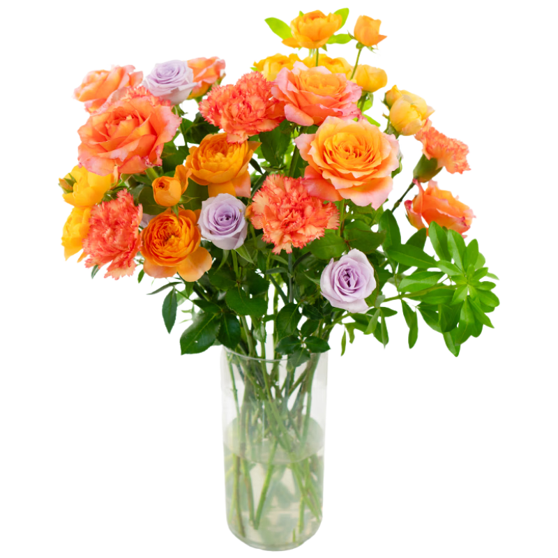 ڲʻ(ů)-ʻֱõ廨ٺϻͷʻԴͷֱ 22.9Ԫ