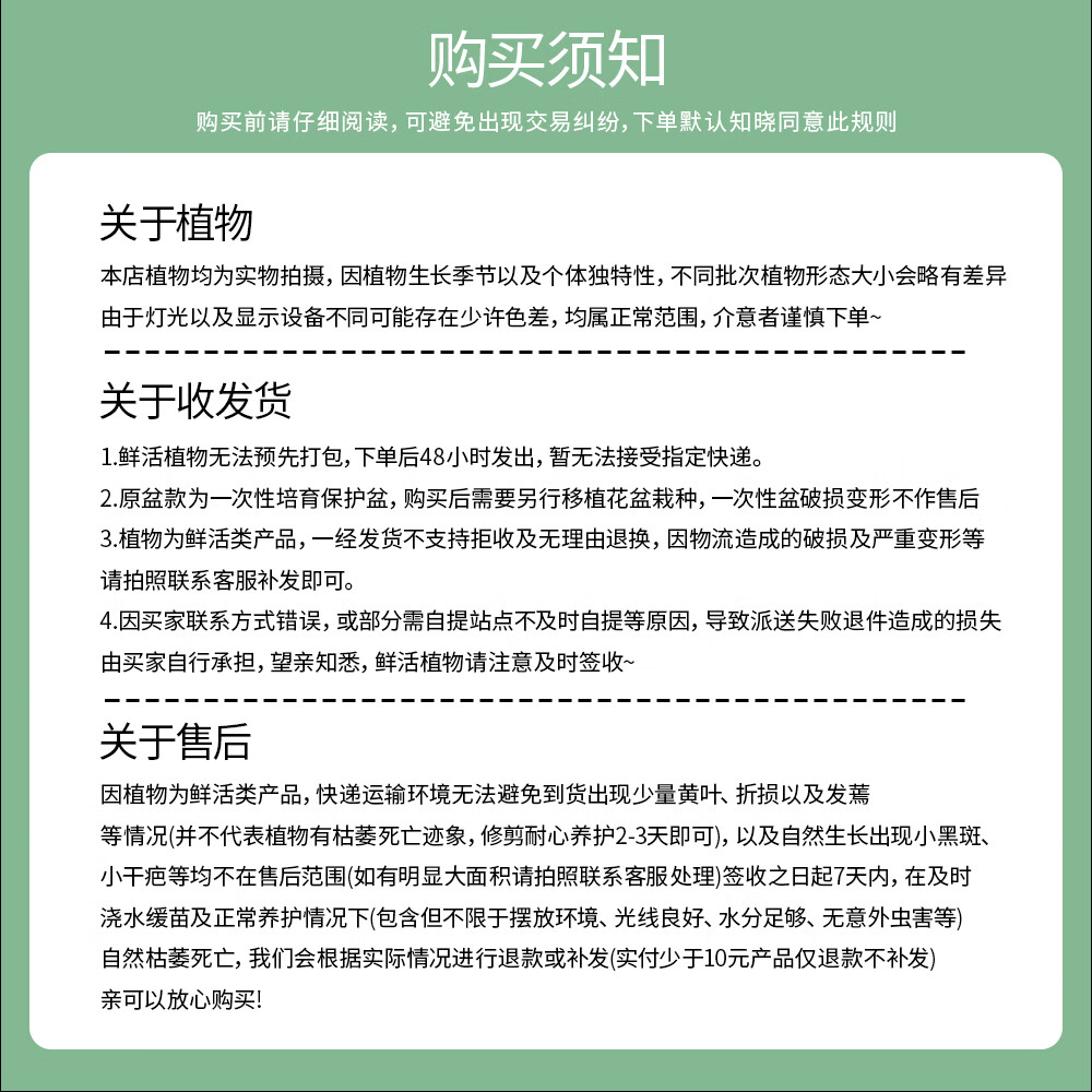 植导引力文竹绿植小盆栽四季常青室内桌面花卉植物 【2盆】文竹+轻奢灰自吸盆