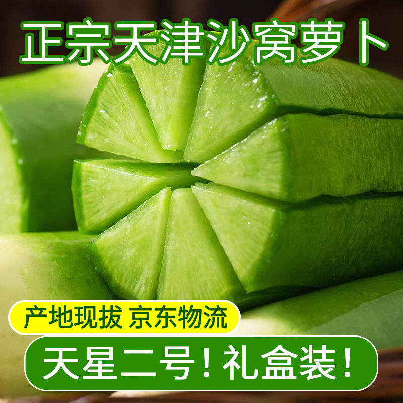 正宗天津沙窝萝卜甜脆水果型新鲜青萝卜冰淇淋萝卜根茎类蔬菜生吃 产地现拔【天星二号】普通礼盒装5斤 京东折扣/优惠券