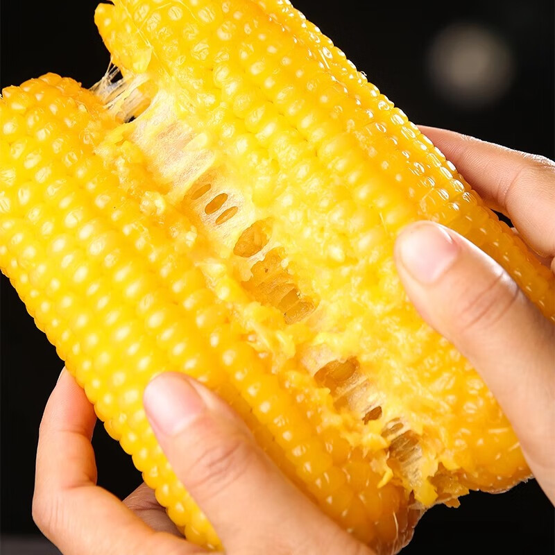 绿熊庄园新疆特产黄白糯玉米新鲜软糯香甜玉米黄玉米大棒粗粮早餐非即食 【一级大棒】恨甜大黄甜糯玉米 单根≥300g 净重5斤