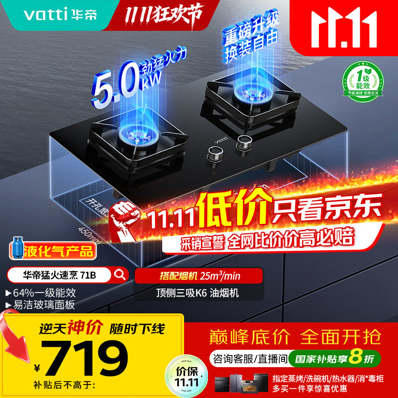 华帝（VATTI）国家补贴20%以旧换新燃气灶家用罐装式液化气嵌入式5.0kW猛火一级能效煤气炉灶双灶台灶具i10071B