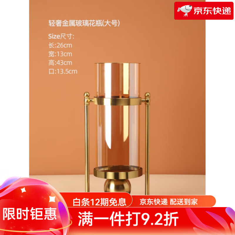 貝漢美(BHM)北歐輕奢玻璃花瓶擺件客廳插花透明創(chuàng)意電視柜餐桌家居裝飾 玻璃花瓶-大號