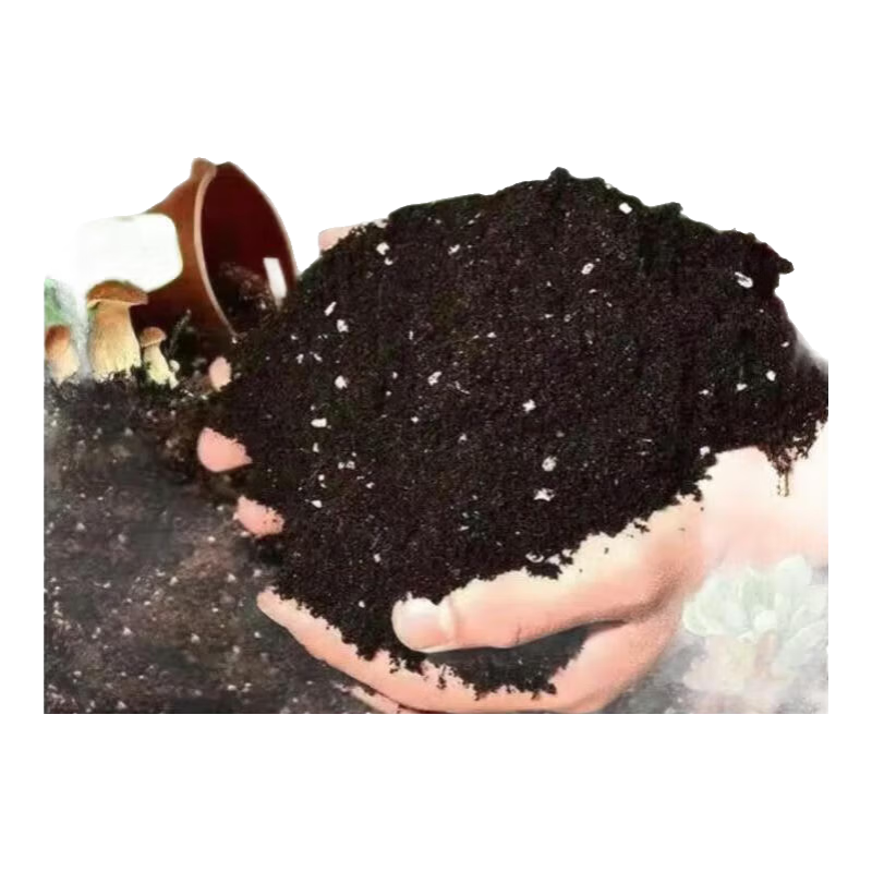 ӪͨӪֻлӪֲͥ԰Ӫ 10/