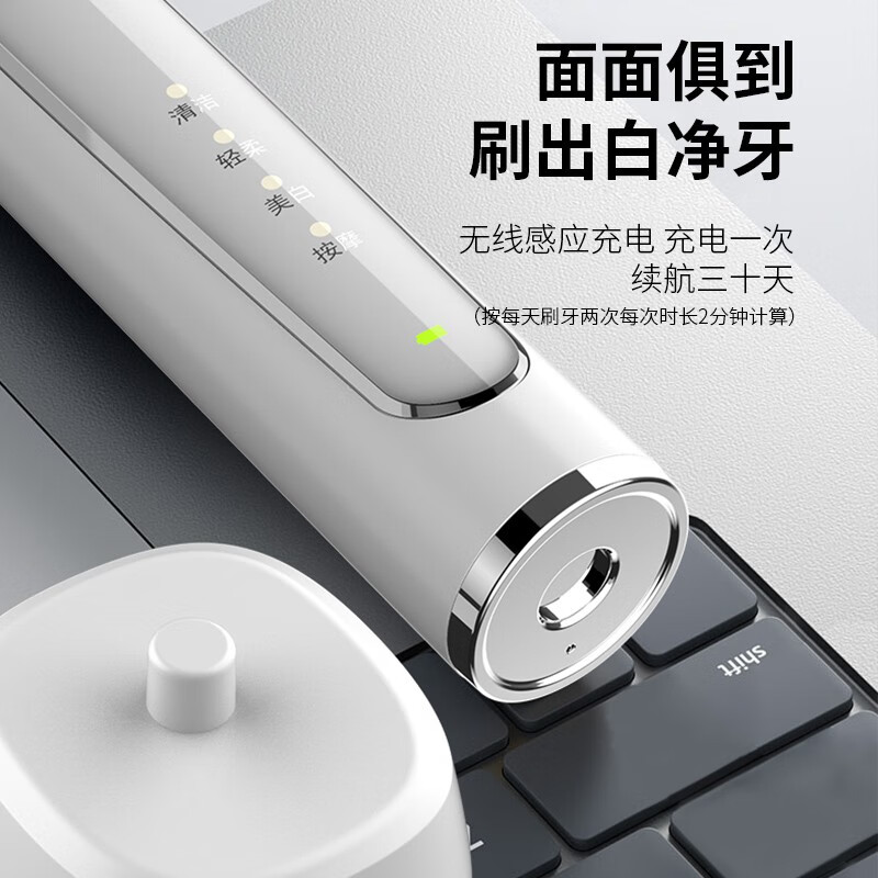 博皓（prooral）声波电动牙刷 感应充电式 自动牙刷成人 情侣款 生日礼物 礼盒装 T31 高频振动|感应充电|绿翎羽