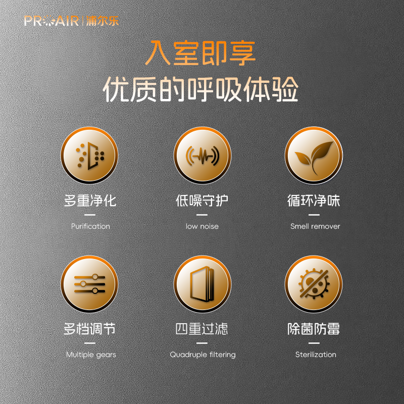 浦尔乐净化BOX车载净化器车内除异味甲醛消毒等离子灭菌除烟送人送礼 桌面充电款【黑色】