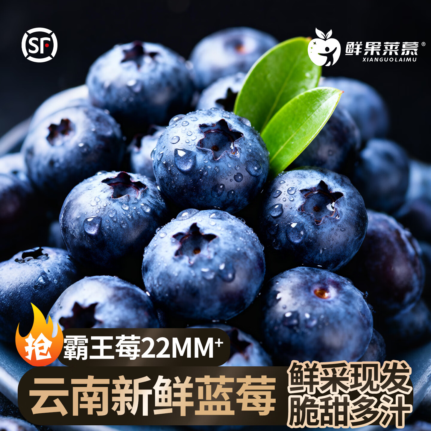鲜果莱慕【顺丰空运】云南花香蓝莓鲜果L25新鲜水果香脆甜多汁单盒125g/盒 4盒 18MM+※大果※鲜采※鲜果※脆甜