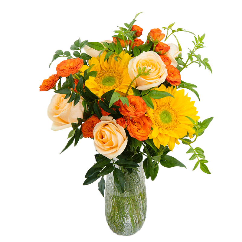 京东鲜花橘子汽水夏日花束玫瑰向日葵鲜花花束送礼家庭插花源头直发鲜花