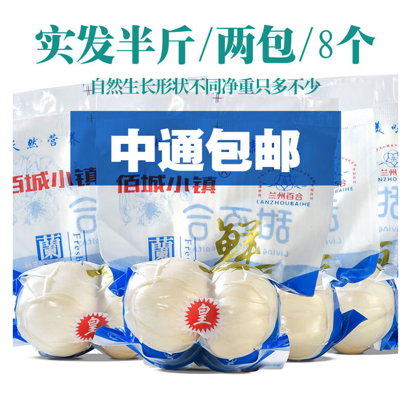 核桃小镇甘肃兰州百合新挖新鲜百合500g新鲜食用生甜白合非干货特 小