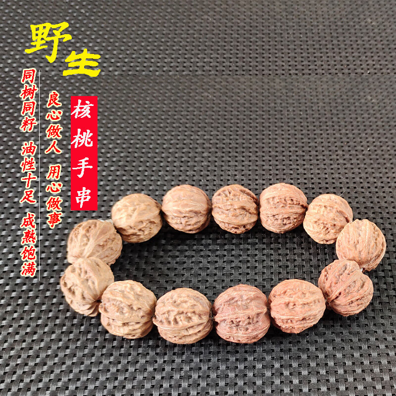 梦泡小核桃文玩手串秦岭野生秋子带刺灯笼八棱粗筋山核桃把玩原籽手持