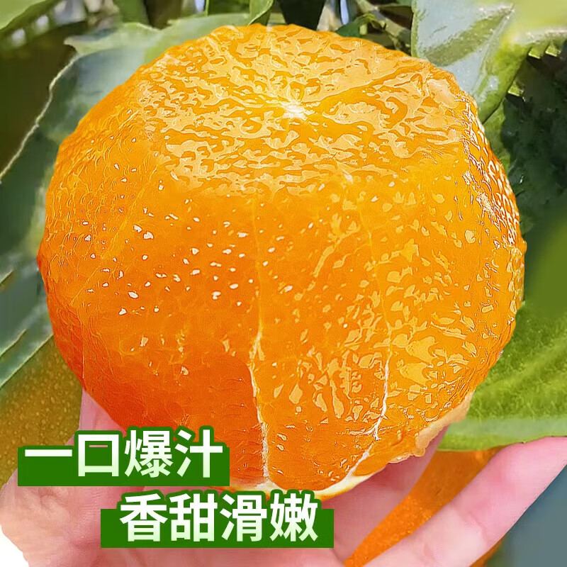 四川爱媛38号果冻橙【多地次日达】新鲜桔橘子水果礼盒装 5斤优选装【香甜爆汁】净4.5斤
