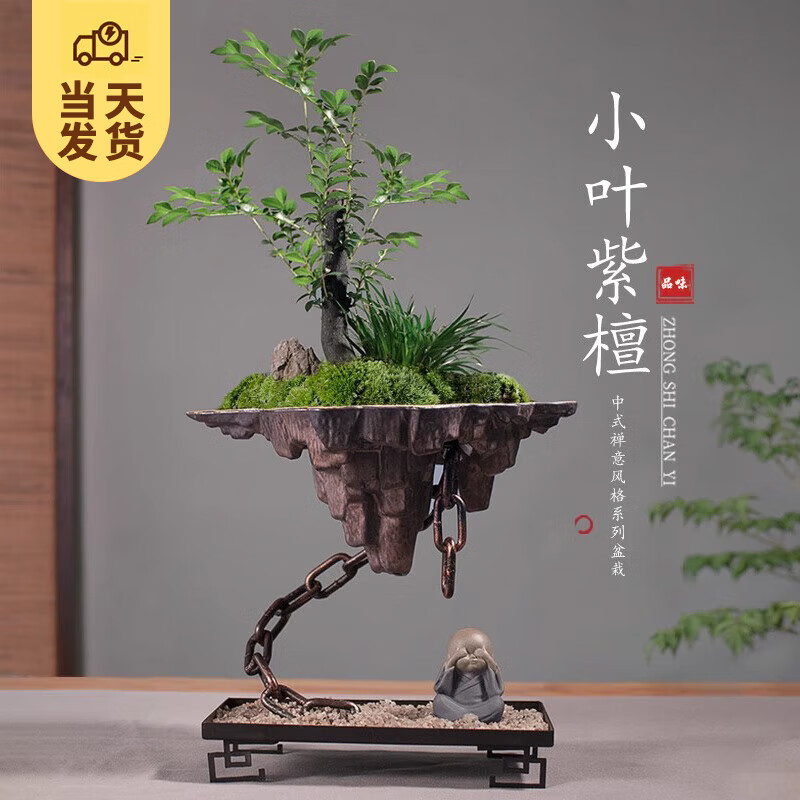 ��ʱ�� �������֮����ʽ�����辰 ������ֲ�칫���ڿ�������ֲ������� ���֮�ǣ��¿��СҶ��̴+̦޺+��ɽʯ 98.91Ԫ