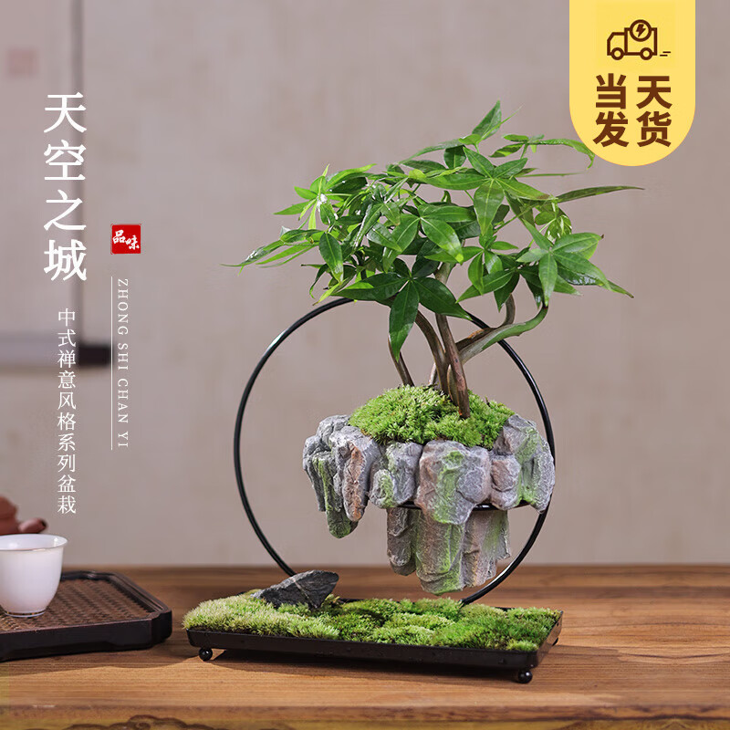 ��ʱ�� �������֮����ʽ�����辰 ������ֲ�칫���ڿ�������ֲ������� ���֮�ǣ�������+̦޺+��ɽʯ 276.69Ԫ��3��(��92.23Ԫ/��)