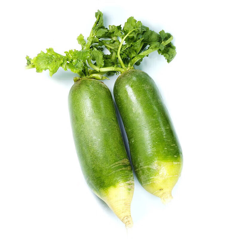 正宗天津沙窝萝卜甜脆水果型新鲜青萝卜冰淇淋萝卜根茎类蔬菜生吃 产地现拔【天星二号】普通礼盒装5斤