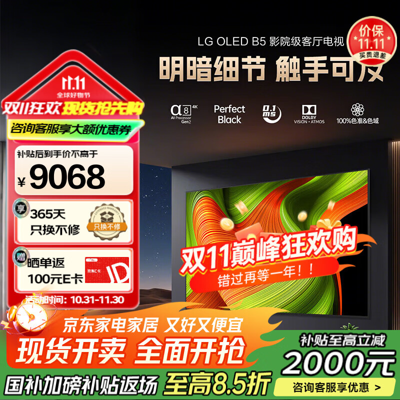 LG65英寸电视新款B5系列 OLED AI 音画芯片 4K电视OLED65B5PCA 65英寸