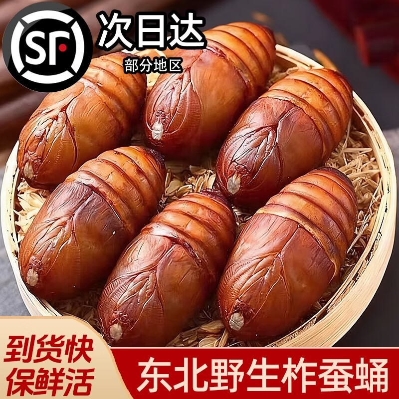 缤鲜东北鲜活柞蚕蛹大个蚕蛹新鲜活蝉蛹黄蚕蛹大茧蛹高蛋白香蝉蛹500g 大二黄蛹4-5厘米（500克约45个）净重