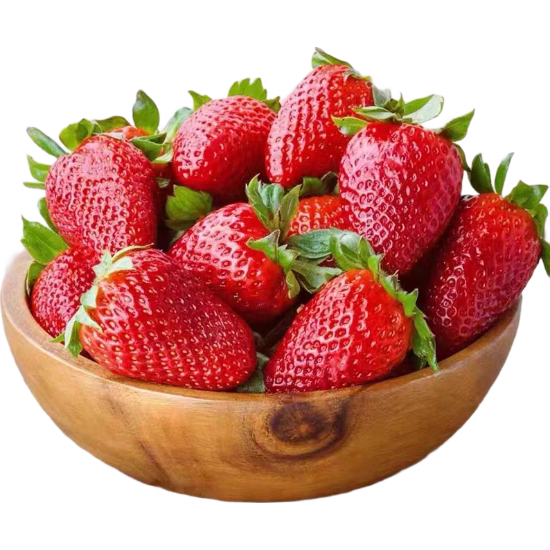 新鲜采摘奶油草莓 冬季应季必吃水果 精品包装 颗颗饱满 奶油草莓带盒300g