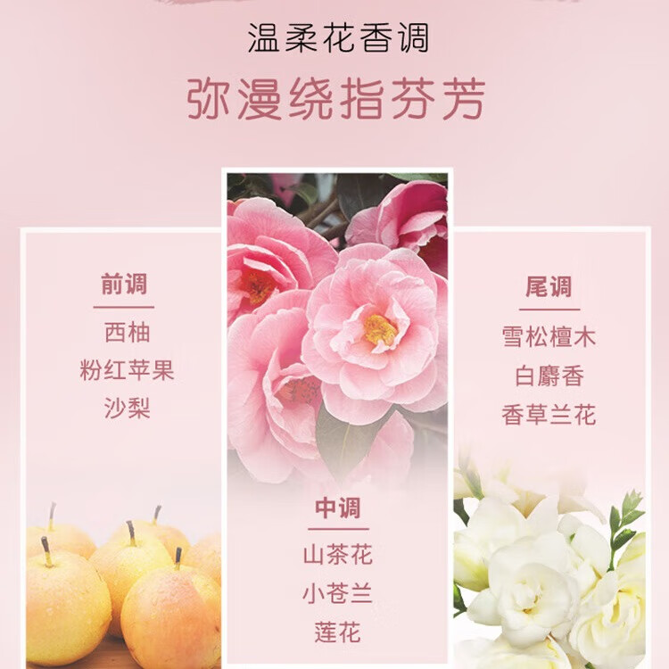 丝蕴(syoss)盈润魅卷弹力素空气感卷发定型护卷防毛躁持久清爽自然亮泽 丝蕴盈润魅卷空气感润卷弹力素150ml