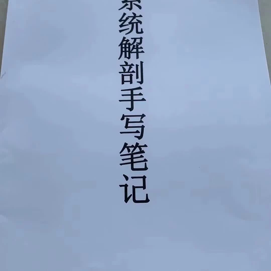 霍坤笔记手写系统解剖学笔记手写 高清