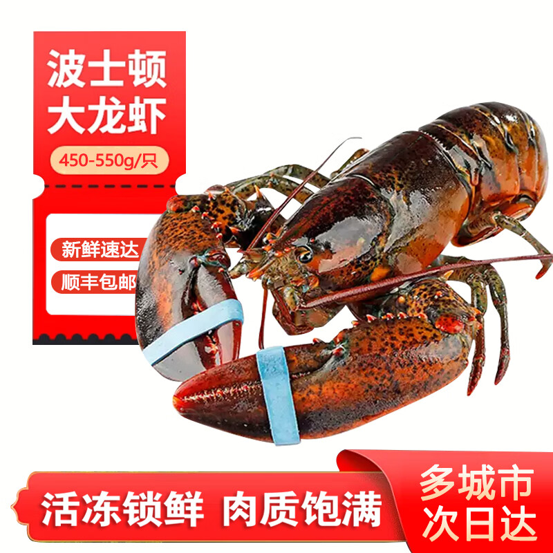 百鲜洽 波士顿龙虾净重450g-550g