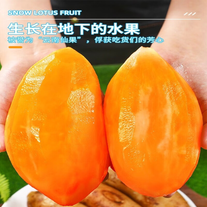 甜果源 云南天山雪莲果  高山红泥沙雪莲果云南特产时令应季新鲜水果 净重5斤【80%人选择】大果 【实惠装】