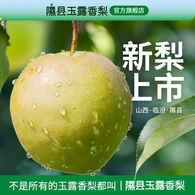 隰(xi)悦【顺丰】隰县玉露香梨当季水果山西隰县小西天特产孕妇水果送礼 9粒大果(净重5-6斤)单果80+mm