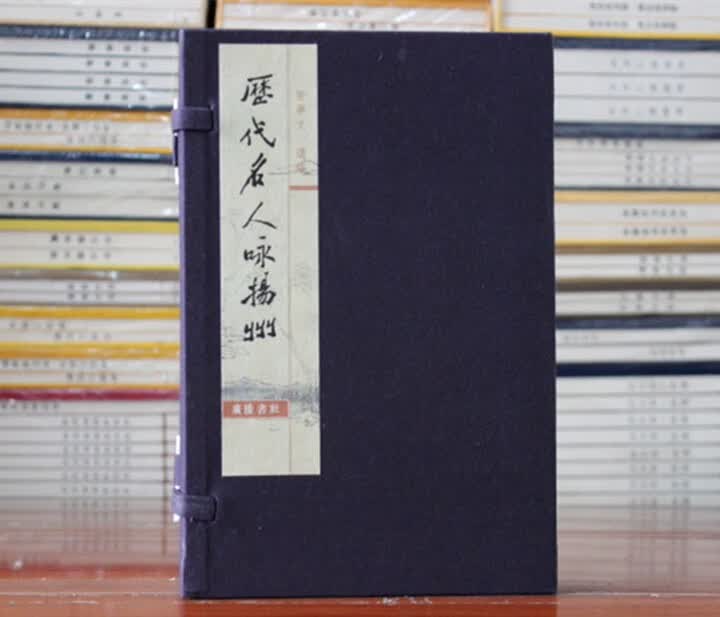 历代名人咏扬州 宣纸线装共2册 文华系列丛书 广陵书社