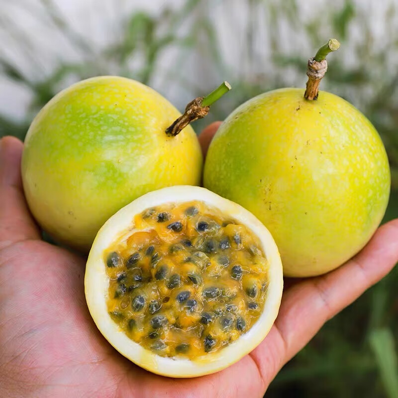 果益寿广西钦蜜9号黄金百香果 新鲜水果白香果酱原浆整箱 超值30个活动果【单果平均30g+】