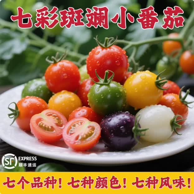 耀好山东七彩小番茄新鲜现摘现发彩色小柿子清甜多汁圣女果混合装水果 2斤装【顺丰包邮】