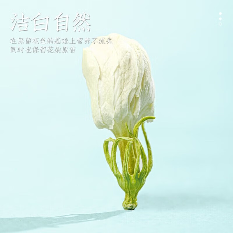 朕皇同仁堂茉莉花茶花苞茶叶新花干花蕾茶叶办公室养生花草茶 【1盒体验装】35g/盒