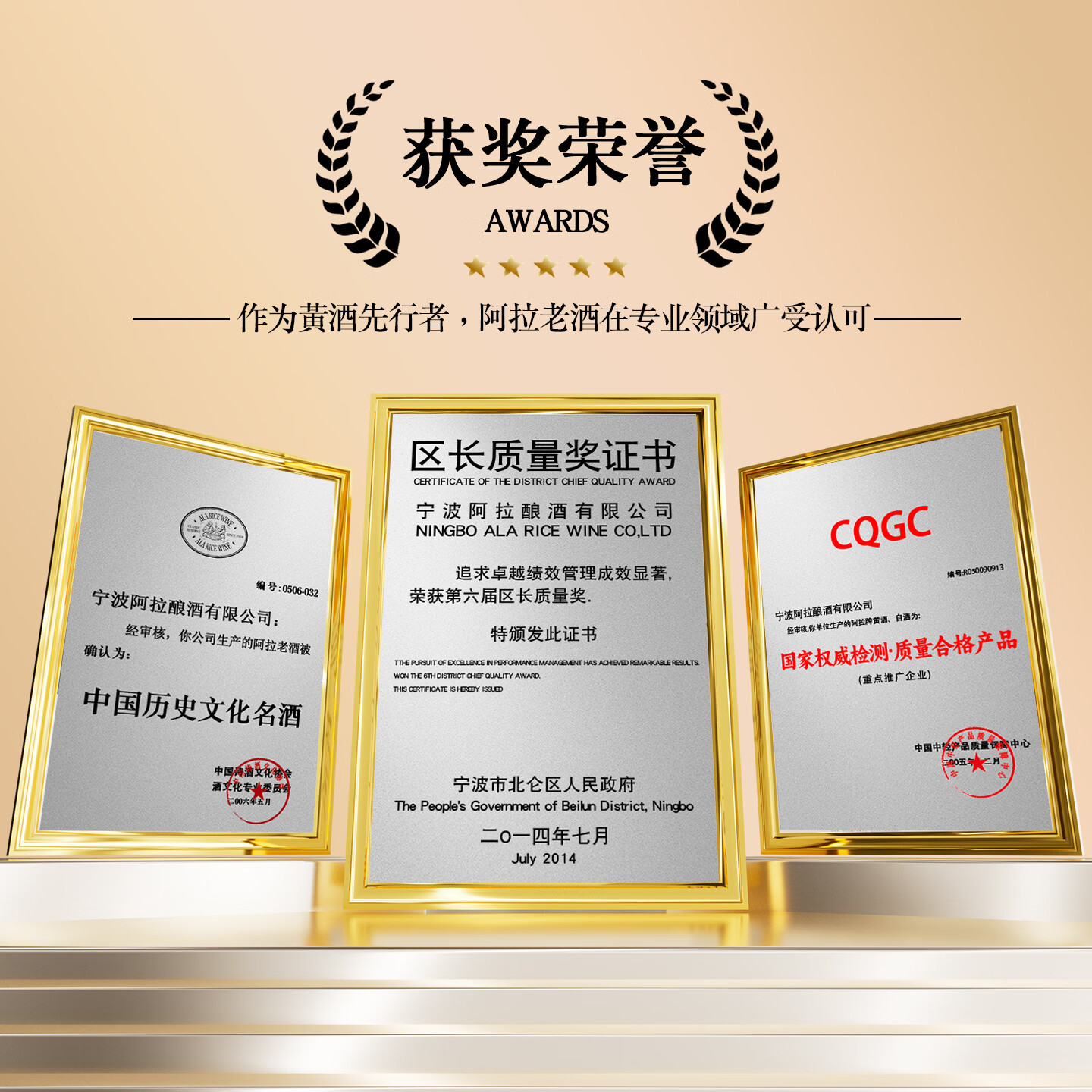 阿拉老酒磨砂臻藏十年黄酒 长辈送礼 商务宴请 半干型黄酒养生花雕酒330ml 330mL 6瓶 礼盒装