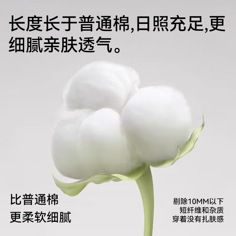 猫人（MiiOW）女士内裤女纯棉7A级百棉底裆中腰三角裤简约性感无痕短裤 米白+蓝色+白色+粉色 4条 L （建议95-110斤）