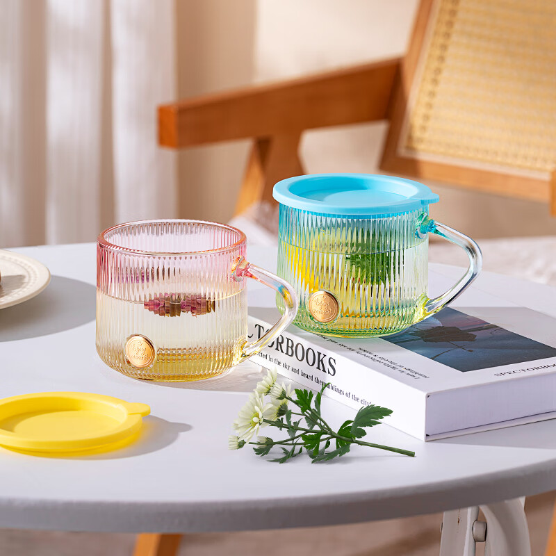 LOVWISHins风竖纹玻璃杯带把水杯家用饮料杯高颜值马克杯高级感咖啡杯子 乐映竖纹把杯【混色】350ml*2