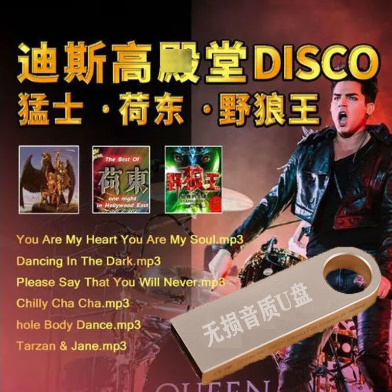 程驼（CHENGTUO）程驼荷东猛士野狼王DJ全集经典的士高舞曲usb汽车音乐cd车载u盘mp 16GB