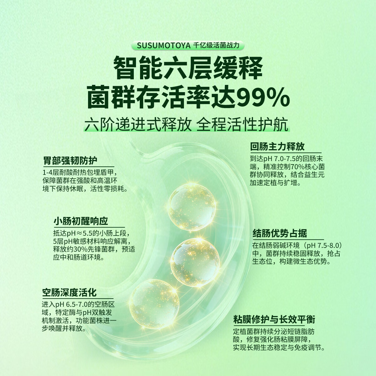 SUSUMOTOYA抗敏益生菌舒敏益生菌 90粒/瓶 1瓶装【推荐拍2瓶装送2同款】 90粒*1瓶