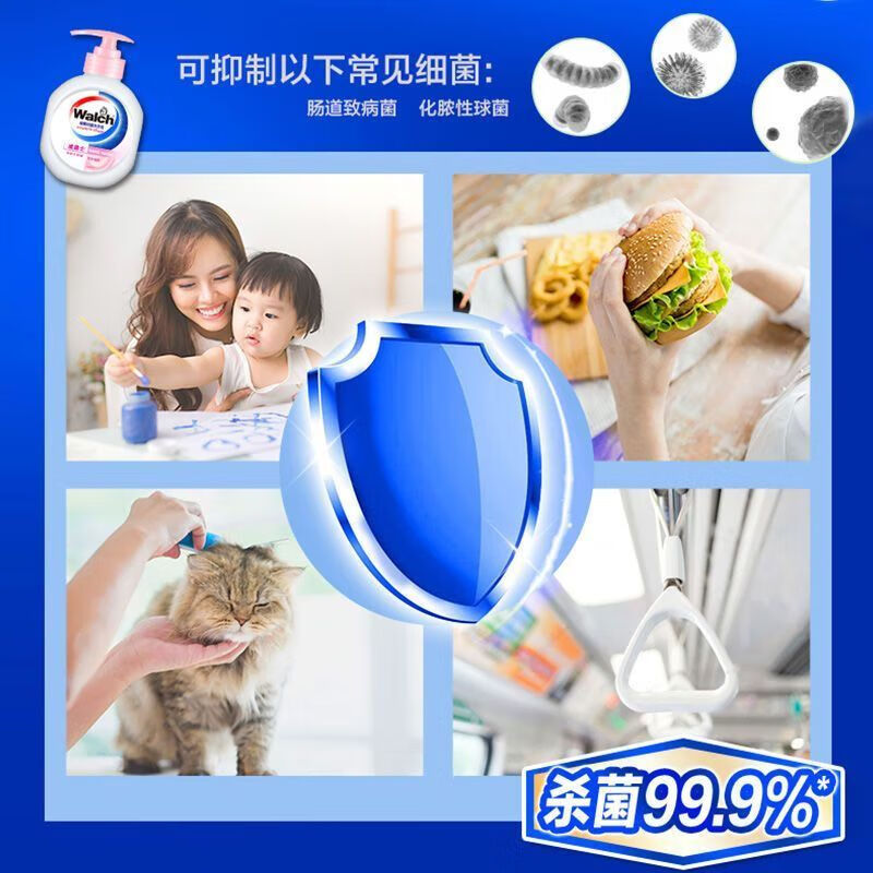 Walch威露士洗手液倍护滋润250ml2瓶抑菌99.9%呵护双手学生开学宿舍装T 倍护滋润250ml*2瓶