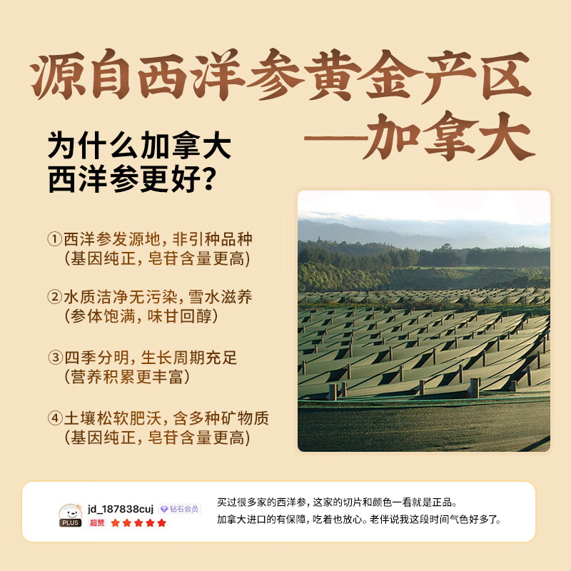 雷允上【官方】加拿大进口特级西洋参片花旗参片送长辈礼盒营养品滋补品 【店铺爆款】 100g*1罐 (2-3cm超大片)