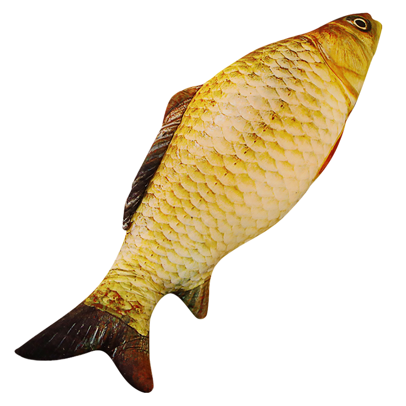 �����������ż���г���������㱧������ͷë�����Ů������˯�� ������ 75���� 13.1Ԫ