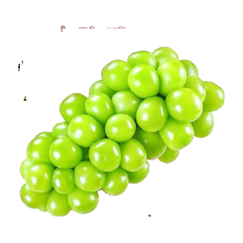 【脆甜多汁】现摘正宗阳光玫瑰葡萄新鲜应季水果无籽葡萄晴王现货 带箱2斤大果【单果克重10g-20g】（净重约1.5斤）