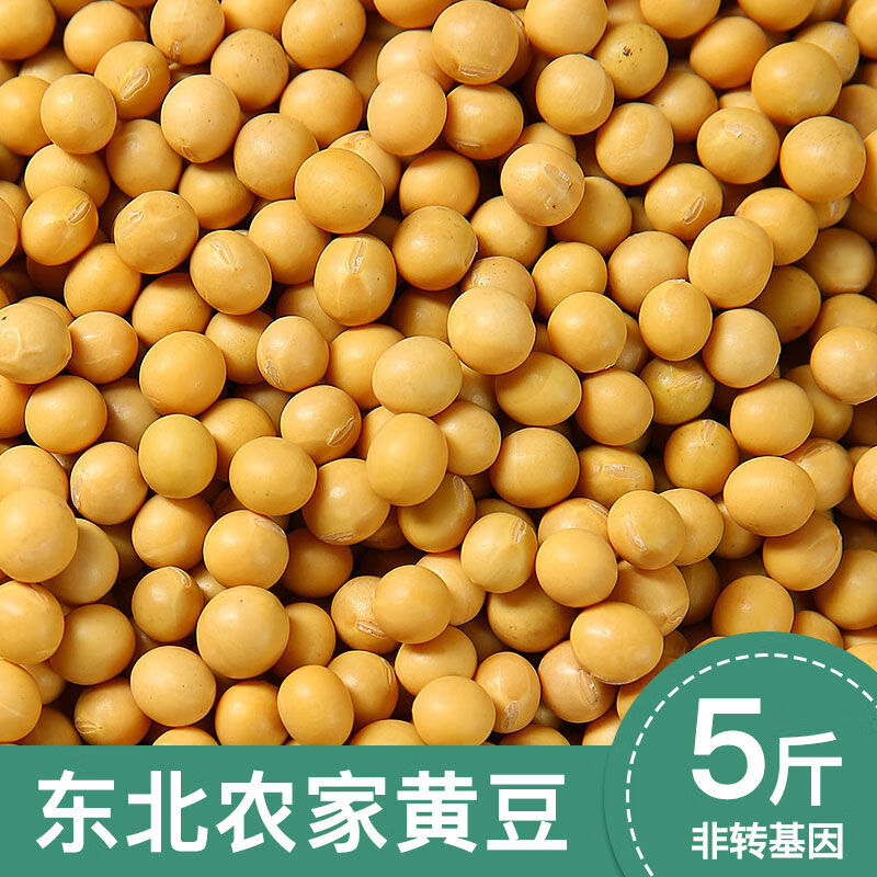 24年新黄豆东北农家自种老品种大豆发豆芽打豆浆专用豆子 3斤东北黄豆老品种